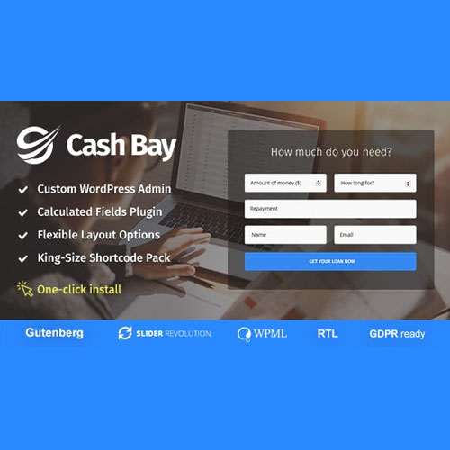 cash bay banking and payday loans wordpress theme